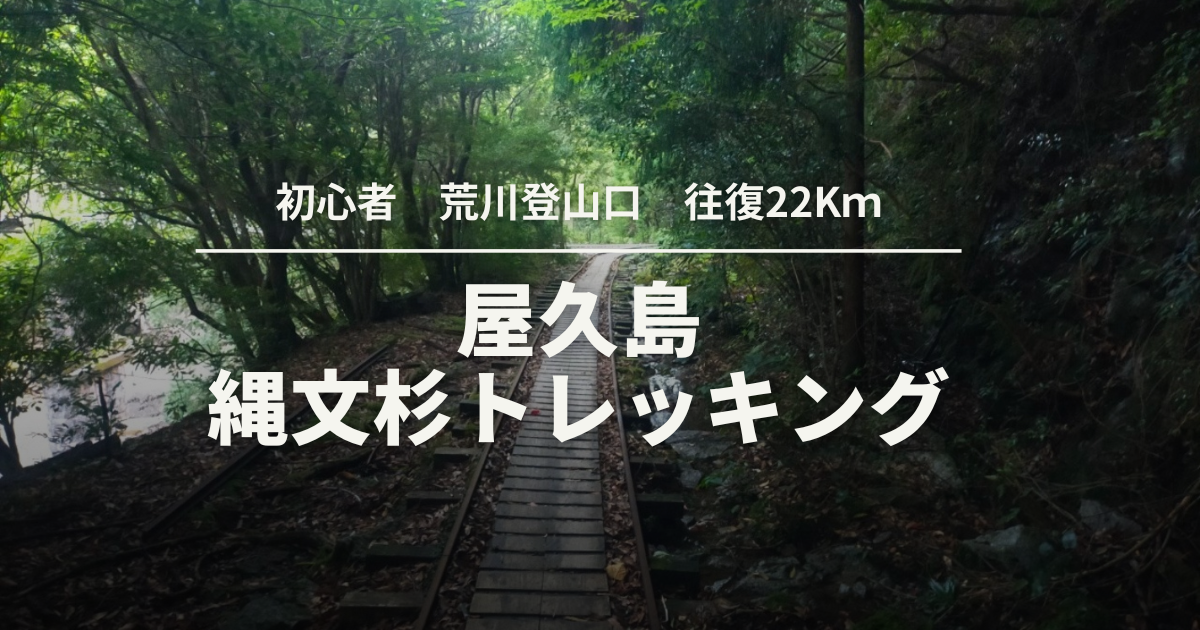 屋久島 往復10時間 ガイド無しで行く屋久島縄文杉トレッキング コースタイムの紹介 よりくらブログ